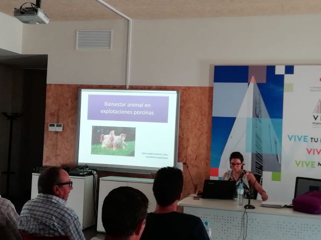curso lanxari lear 2