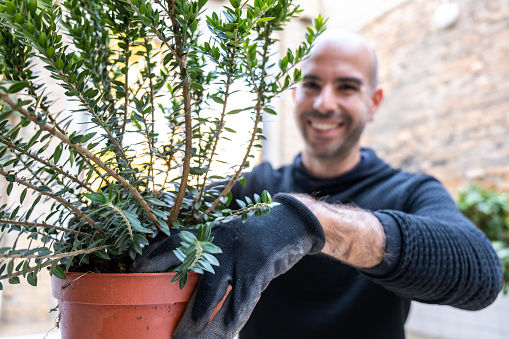 Young bald gardener works smiling in a pot